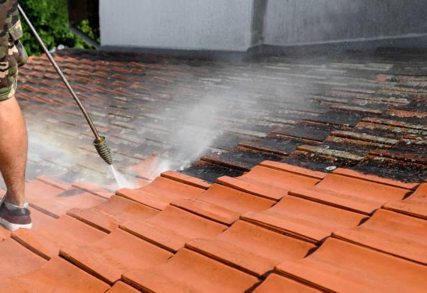 Best Pressure Washing Services for Businesses  in Hermantown, MN