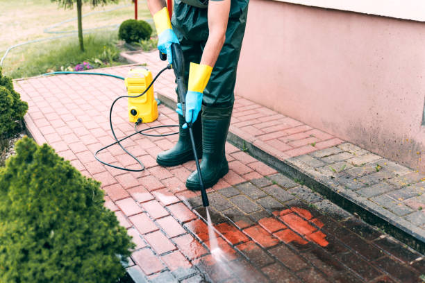 Best Roof Pressure Washing  in Hermantown, MN