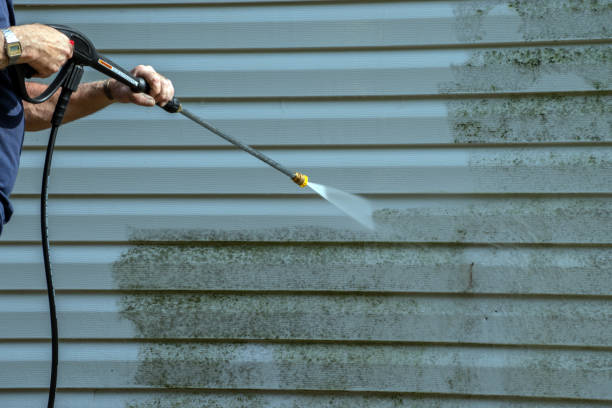 Best Commercial Building Pressure Washing  in Hermantown, MN