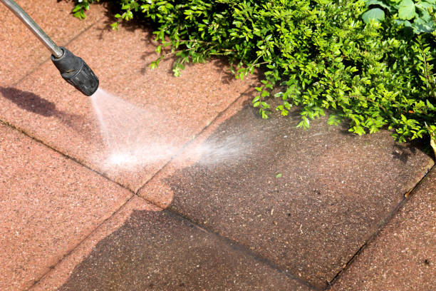 Best Roof Power Washing Services  in Hermantown, MN